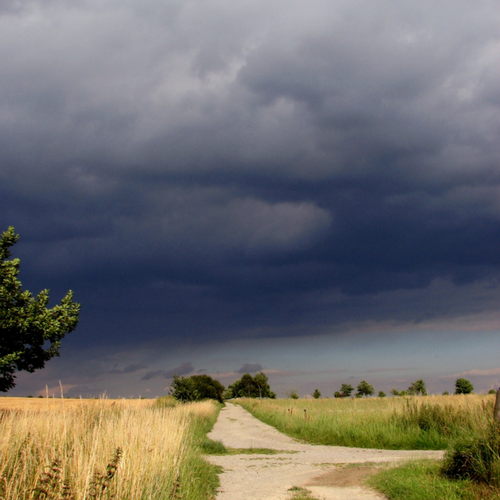 buy crop insurance Nebraska path finder
